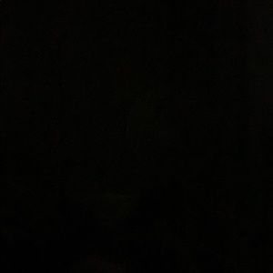 Meet your Posher, Will